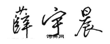 駱恆光薛宇晨行書個性簽名怎么寫