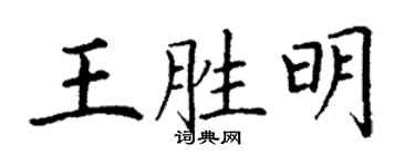 丁謙王勝明楷書個性簽名怎么寫