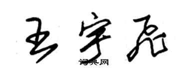 朱錫榮王宇飛草書個性簽名怎么寫