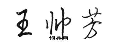 駱恆光王帥芳行書個性簽名怎么寫