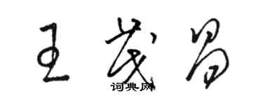 駱恆光王茂昌草書個性簽名怎么寫