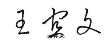 駱恆光王宜文草書個性簽名怎么寫