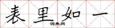 袁強表里如一楷書怎么寫