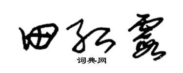 朱錫榮田紅霞草書個性簽名怎么寫