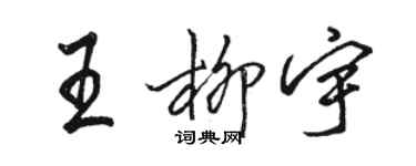 駱恆光王柳宇行書個性簽名怎么寫