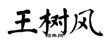 翁闓運王樹風楷書個性簽名怎么寫
