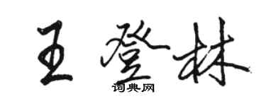 駱恆光王登林行書個性簽名怎么寫