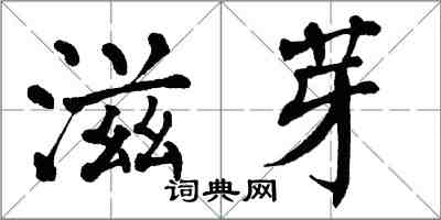 翁闓運滋芽楷書怎么寫