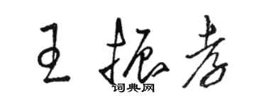 駱恆光王振孝草書個性簽名怎么寫