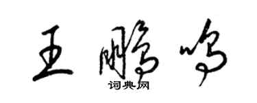 梁錦英王鵬鳴草書個性簽名怎么寫