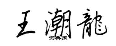 王正良王潮龍行書個性簽名怎么寫