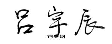 曾慶福呂宇辰行書個性簽名怎么寫