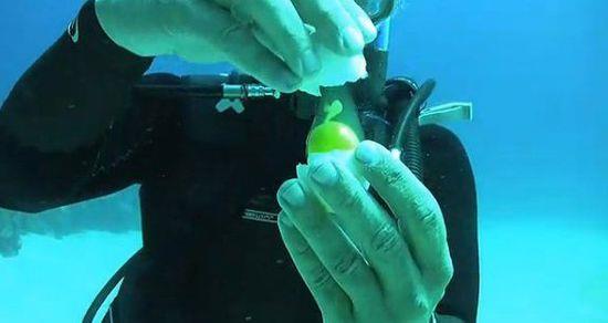 在20米深的海裡面打開一個雞蛋會發生何種奇蹟?