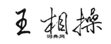 駱恆光王相操行書個性簽名怎么寫