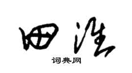 朱錫榮田淮草書個性簽名怎么寫