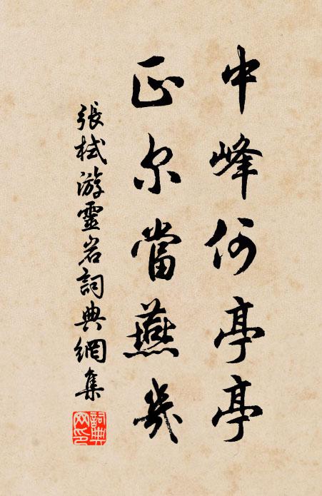 待洗岷峨悽愴氣,為八荒、更著深長慮 詩詞名句