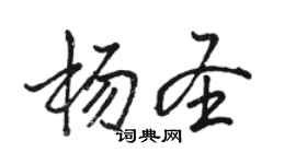 駱恆光楊聖行書個性簽名怎么寫