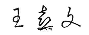 駱恆光王喜文草書個性簽名怎么寫