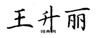 丁謙王升麗楷書個性簽名怎么寫