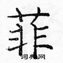 龐中華寫的硬筆楷書菲