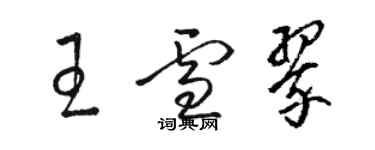 駱恆光王雪翠草書個性簽名怎么寫