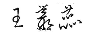 駱恆光王叢蕊草書個性簽名怎么寫