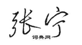 駱恆光張寧行書個性簽名怎么寫