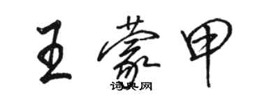 駱恆光王蒙甲行書個性簽名怎么寫