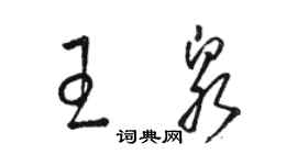 駱恆光王泉草書個性簽名怎么寫