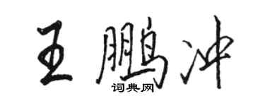 駱恆光王鵬沖行書個性簽名怎么寫
