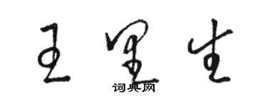 駱恆光王里生草書個性簽名怎么寫