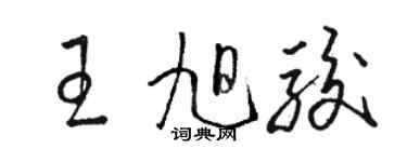 駱恆光王旭駿草書個性簽名怎么寫