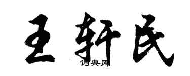 胡問遂王軒民行書個性簽名怎么寫