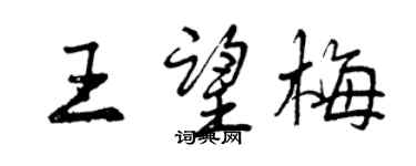 曾慶福王望梅行書個性簽名怎么寫