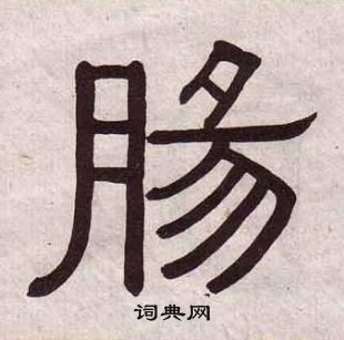 黃葆戉千字文中腸的寫法