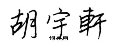 王正良胡宇軒行書個性簽名怎么寫