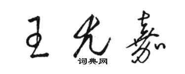 駱恆光王尤嘉草書個性簽名怎么寫