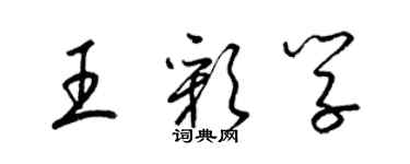 梁錦英王彩學草書個性簽名怎么寫