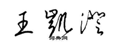 梁錦英王凱澄草書個性簽名怎么寫