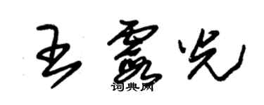 朱錫榮王霞光草書個性簽名怎么寫