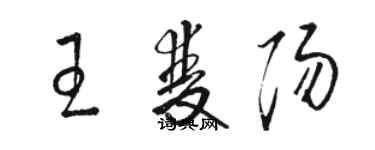 駱恆光王雙陽草書個性簽名怎么寫