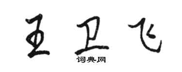 駱恆光王衛飛行書個性簽名怎么寫