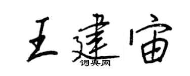 王正良王建宙行書個性簽名怎么寫