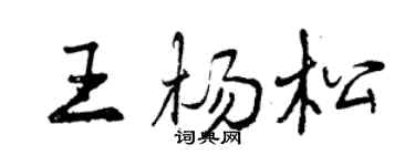 曾慶福王楊松行書個性簽名怎么寫