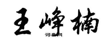 胡問遂王崢楠行書個性簽名怎么寫