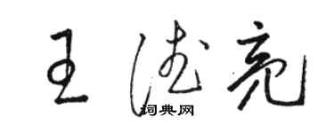 駱恆光王德亮草書個性簽名怎么寫