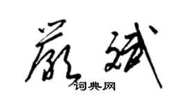 梁錦英嚴斌草書個性簽名怎么寫