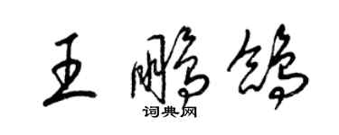 梁錦英王鵬鴿草書個性簽名怎么寫