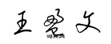 梁錦英王盈文草書個性簽名怎么寫