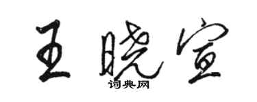 駱恆光王曉宣行書個性簽名怎么寫